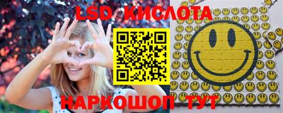прущие грибы Краснознаменск