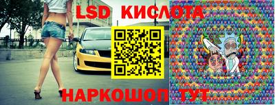 прущие грибы Краснознаменск