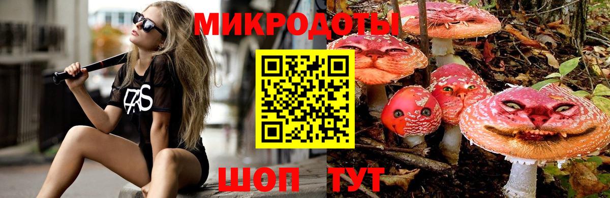 Кизилюрт  Галлюциногенные грибы GOLDEN TEACHER  Вход с VPN 