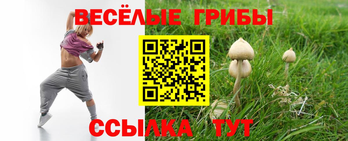 Галлюциногенные грибы Cubensis Кизилюрт